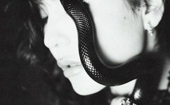 大香焦久视频在线播放